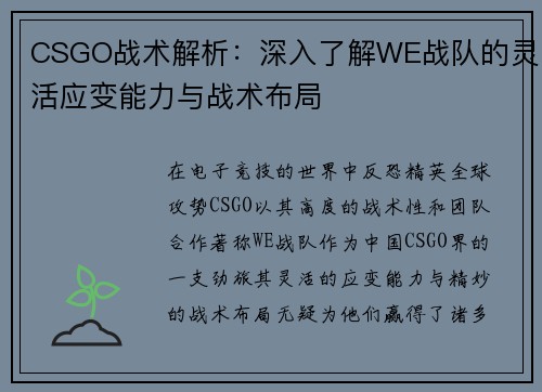 CSGO战术解析：深入了解WE战队的灵活应变能力与战术布局