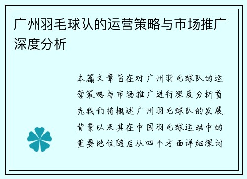 广州羽毛球队的运营策略与市场推广深度分析