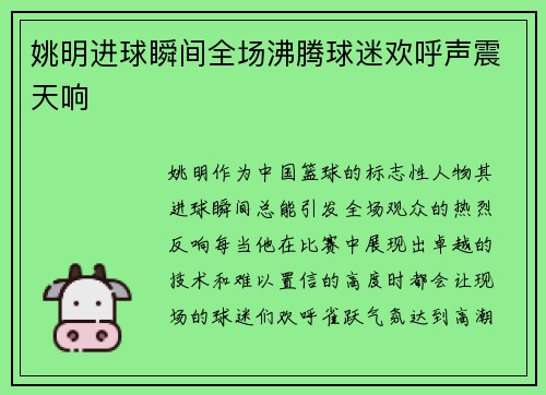 姚明进球瞬间全场沸腾球迷欢呼声震天响