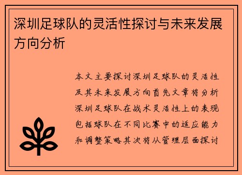深圳足球队的灵活性探讨与未来发展方向分析